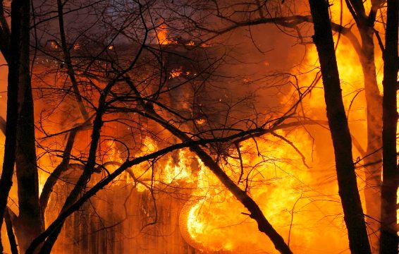 Picture of a home and trees burning in a fire